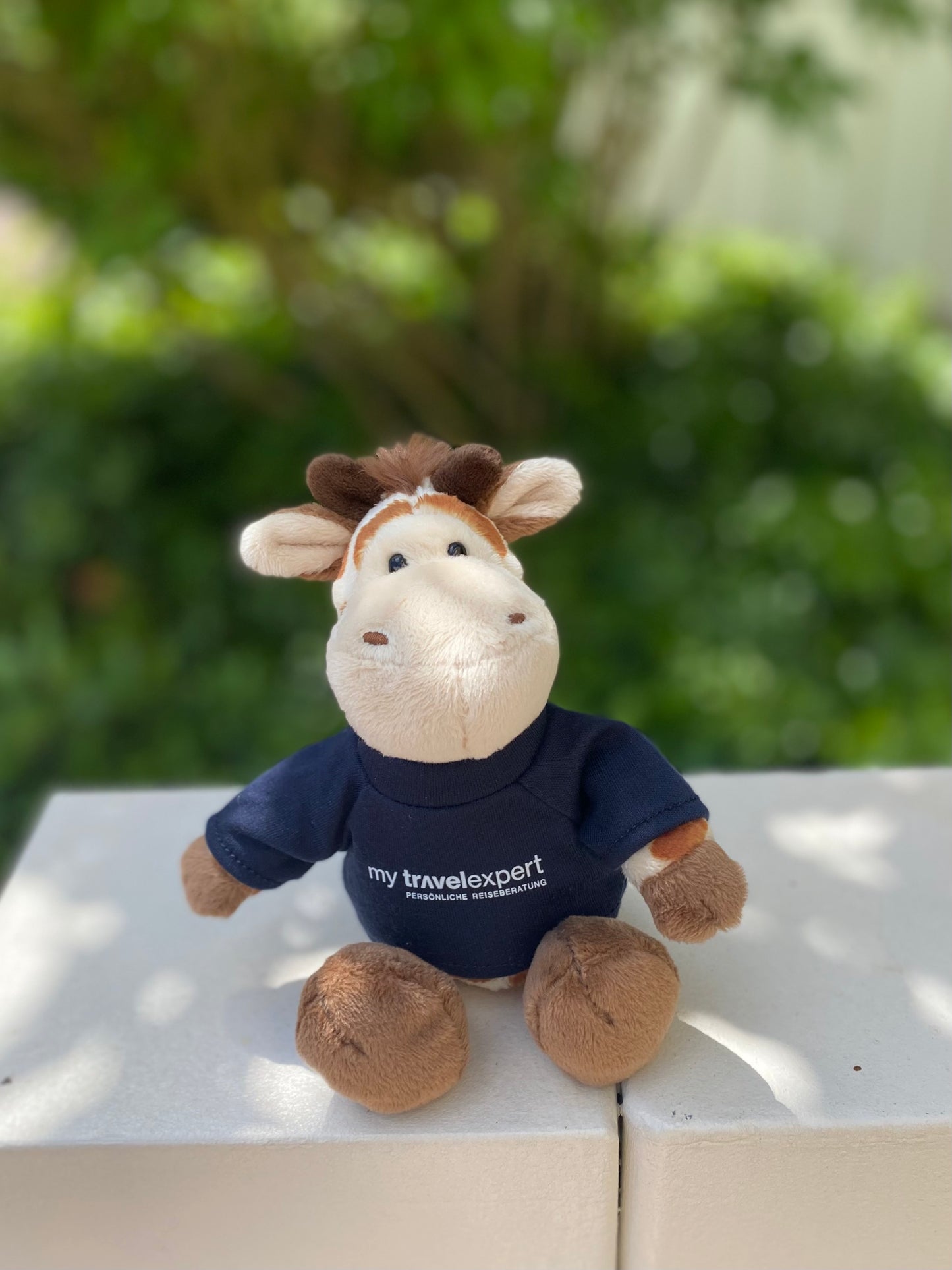 Kevin – die Reisegiraffe